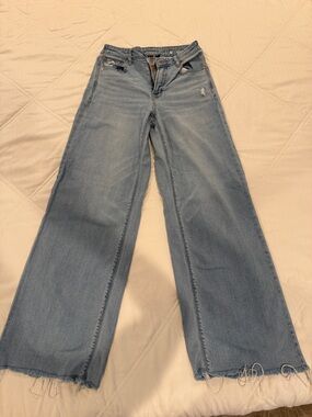 American Eagle Outfitters Light Blue Wide-Leg Jeans